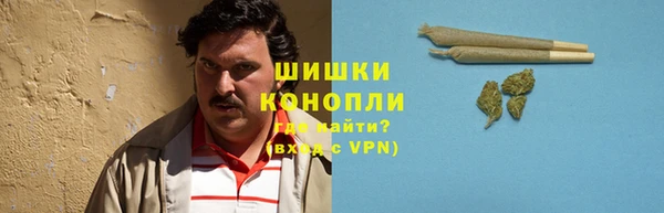 мяу мяу мука Новозыбков