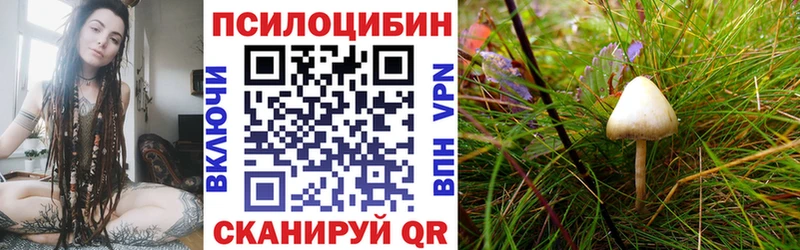 Псилоцибиновые грибы мицелий  блэк спрут   Арск 